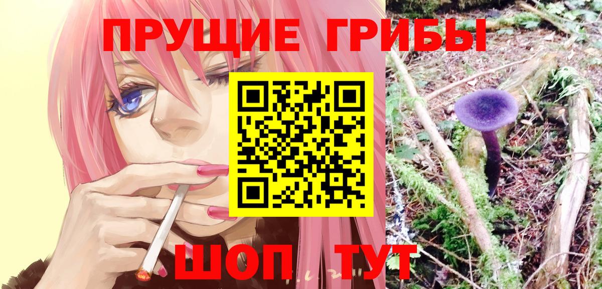 Псилоцибиновые грибы Magic Shrooms  Галлюциногенные грибы Magic Shrooms  Вход с VPN  Елец 